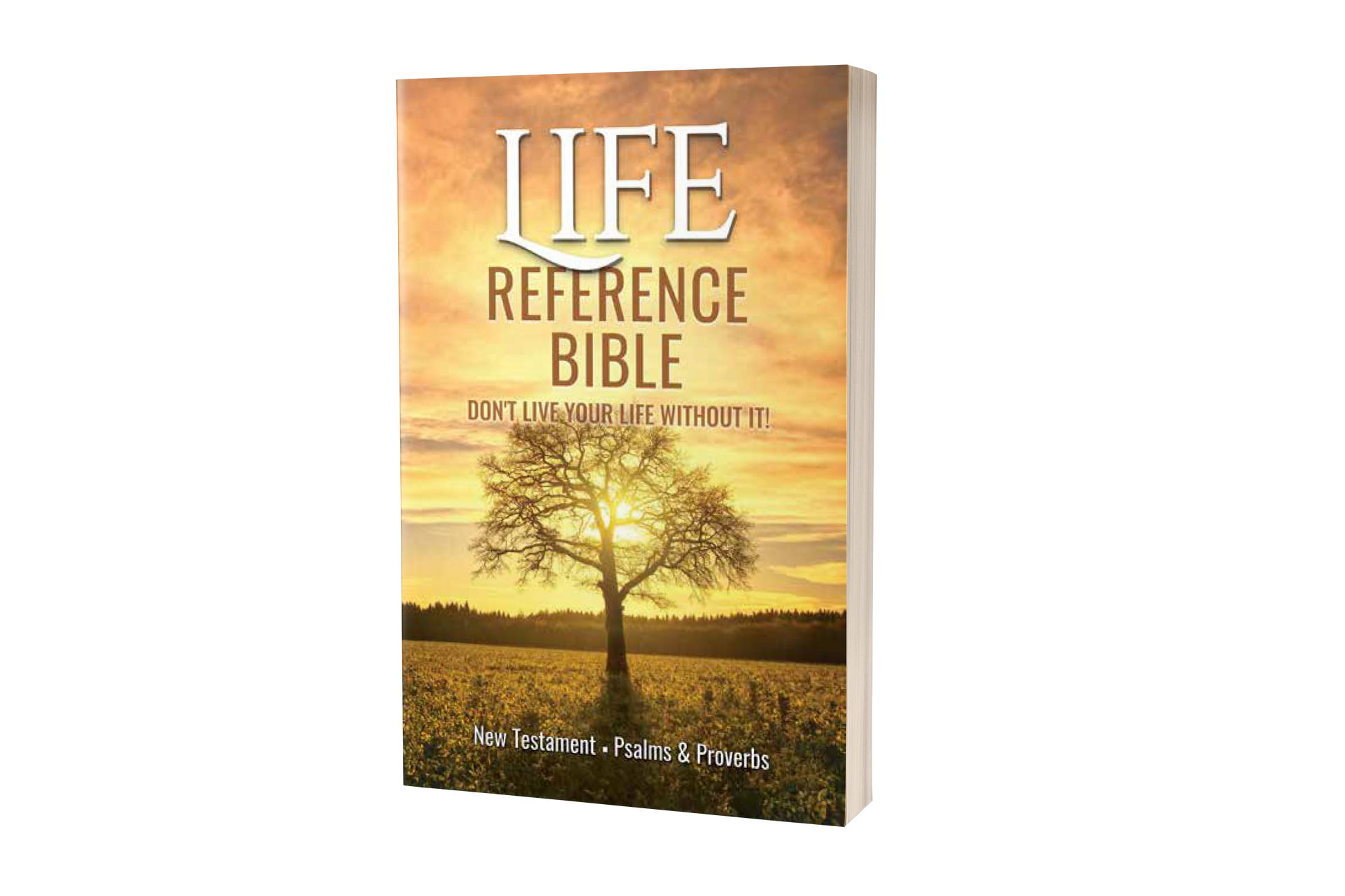 Life Reference Bible – Life Reference Manual